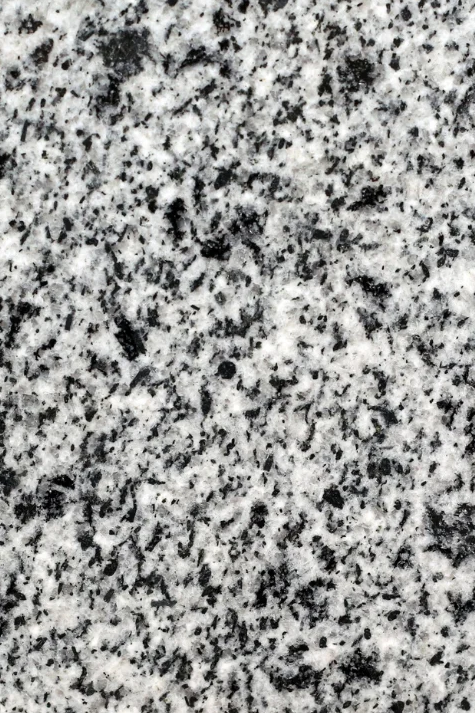 new halaeb meduim 1.png